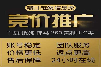 专业竞价SEM托管成功案例解析